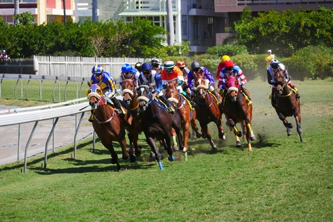 horse racing terms